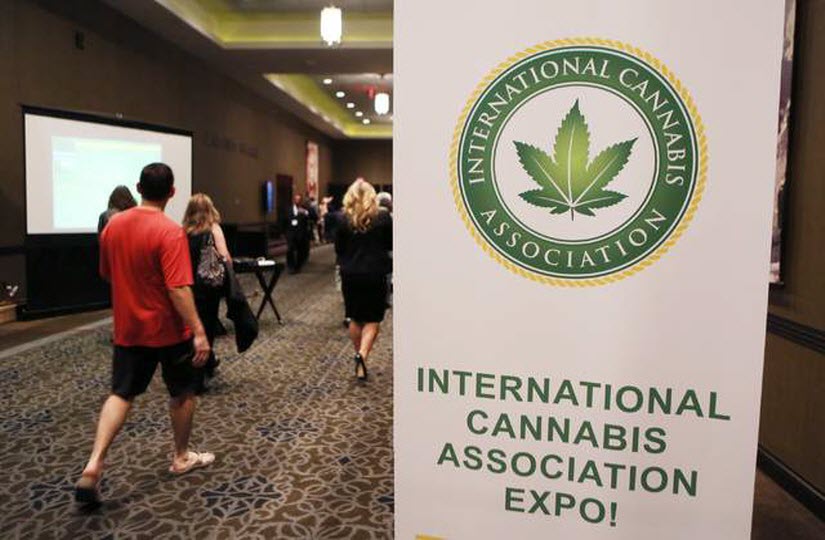 Review Journal: Marijuana conventioneers try to apply business experience to emerging market