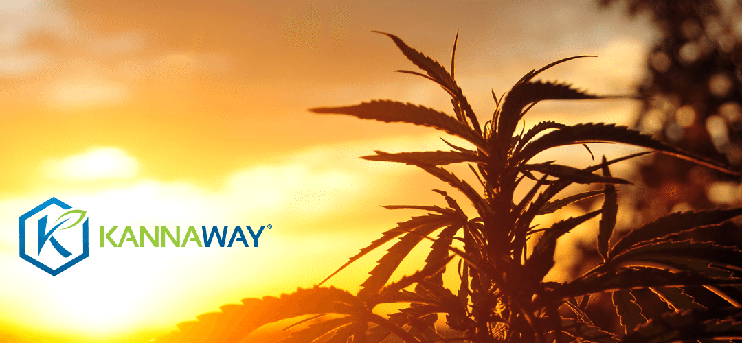 Medical Marijuana, Inc. Subsidiary Kannaway® Announces New Pure Gold Zero-THC Hemp CBD Oil