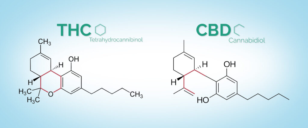 CBD Vs THC: What Is The Difference? | Medical Marijuana, Inc.