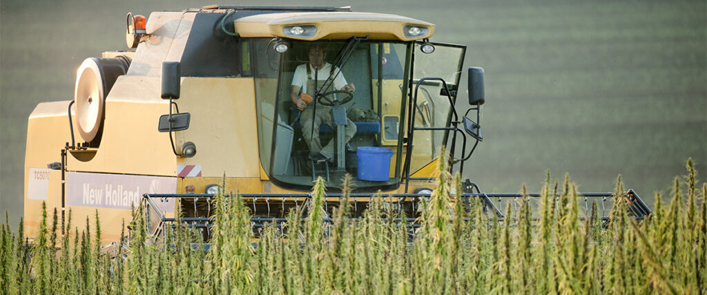 hemp cultivation environmentally friendly