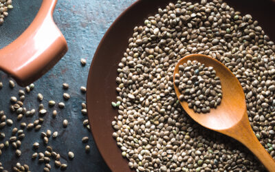 A Beginner’s Guide to Hemp Seeds and Their Benefits