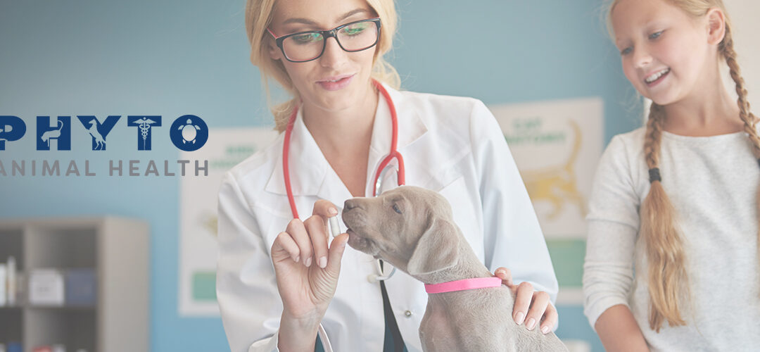 Medical Marijuana, Inc. Subsidiary Phyto Animal Health Reveals Veterinarian-Exclusive CBD Product at 90th WVC Veterinary Conference in Las Vegas