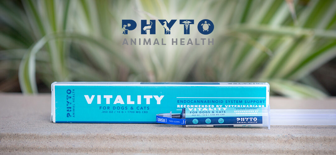 Phyto Animal Health Prepares to Launch Concentrated New CBD Product