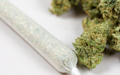 How to Roll a Joint: A Step-by-Step Guide