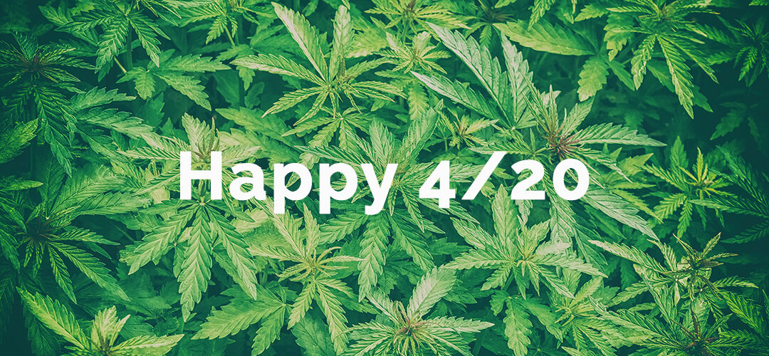 This 4/20 Give Back to the Marijuana Legalization Movement