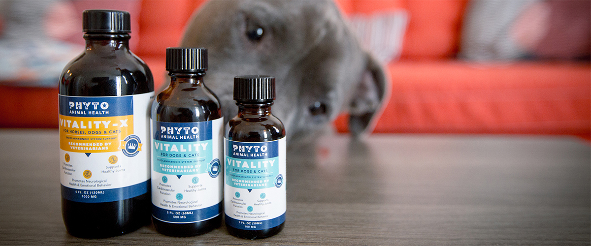 Your Complete Guide to CBD for Pets - Medical Marijuana, Inc.