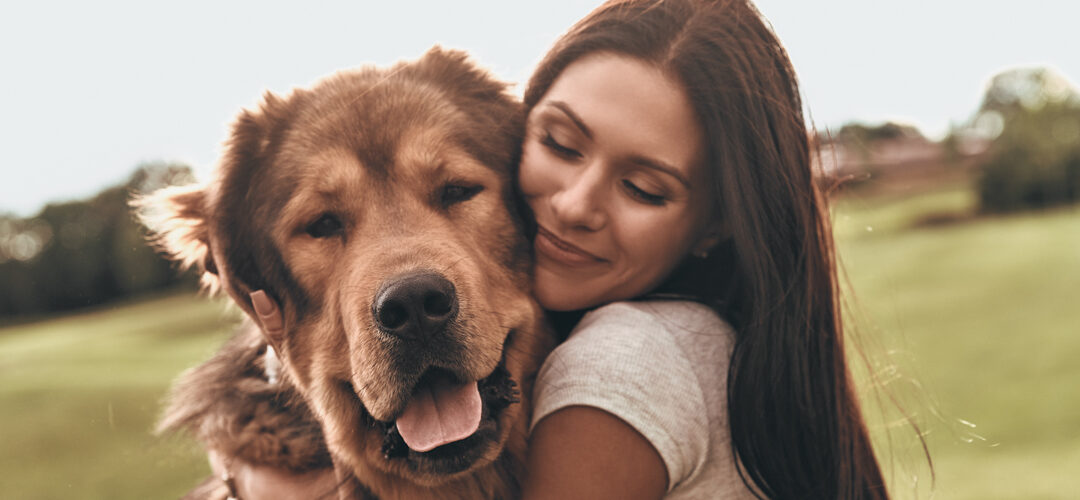 CBD Oil for Dogs: Everything You Need To Know