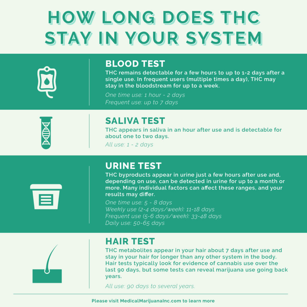 How Long Does THC Stay In Your System Medical Marijuana, Inc.