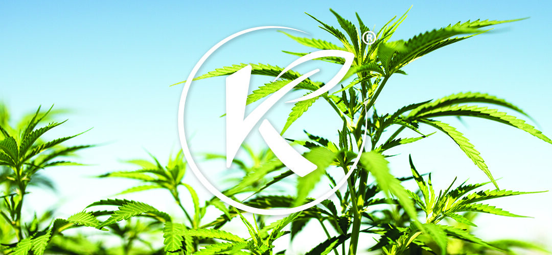 Medical Marijuana, Inc. Subsidiary Kannaway® Announces European Leadership & Product Launch Event in Prague
