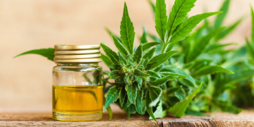 What is CBD oil? Learn about cannabidiol and its uses.